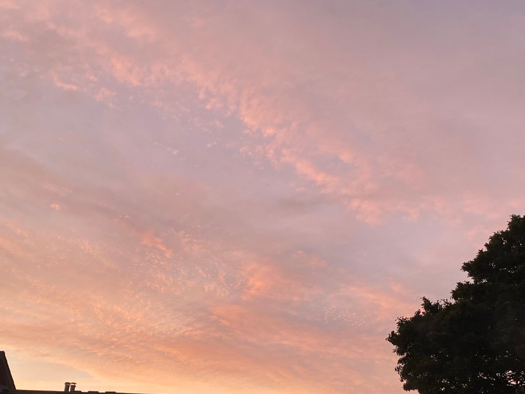 Big pink and blue sky over Totnes.