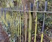 Mossy railings by the Totnes leat.