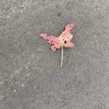 A pink leaf pretending to be a butterfly.