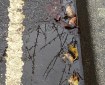 Autumn leaves in a puddle.