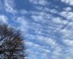A bare winter tree beneath soft, fluffy clouds floating across a bright blue sky.