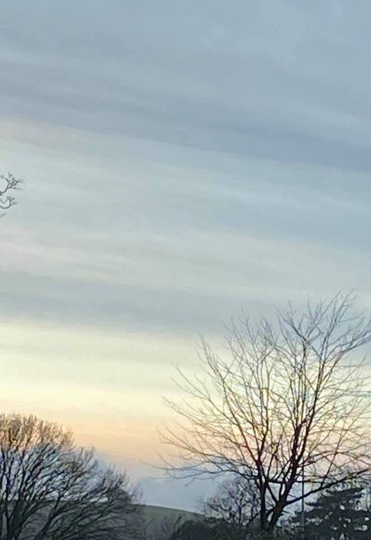View towards Sharpham Hill from Totnes.