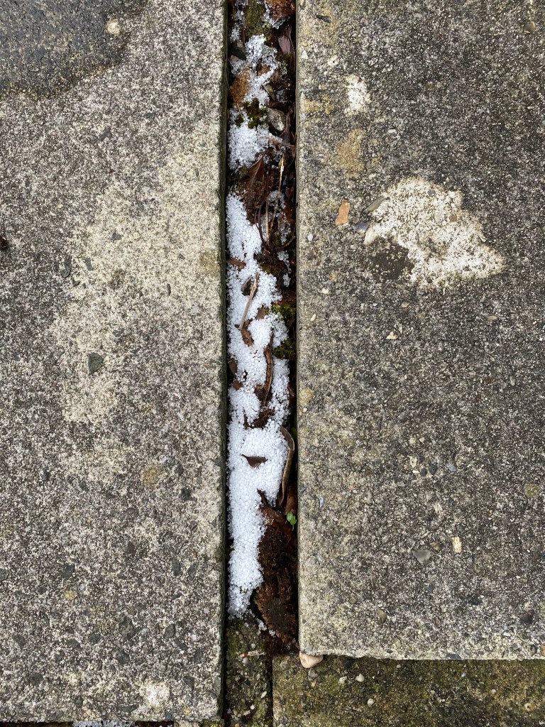 Frost between paving stones.