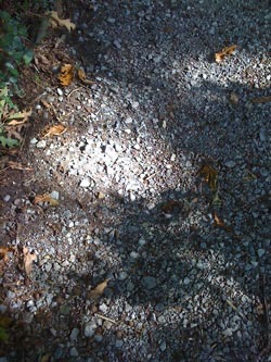 Light on the pavement.