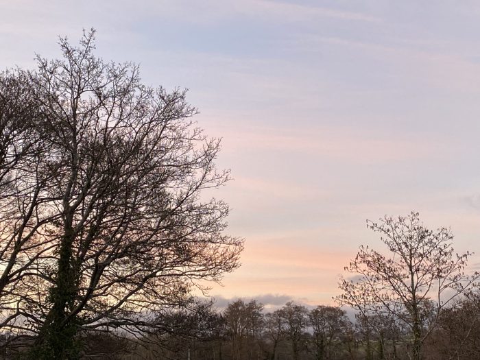 Layers of pink and blue sky above the trees.
