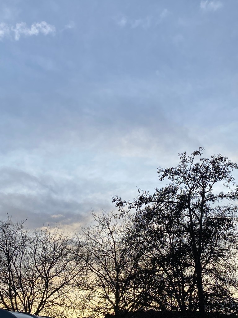 Looking up in Morrisons carpark, Totnes.