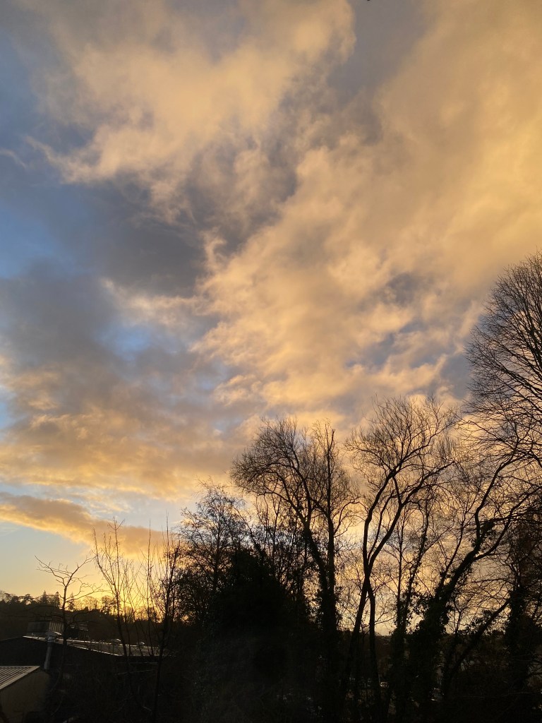 Winter morning dawn sky in Totnes with golden clouds and silhouetted bare trees over rooftops.