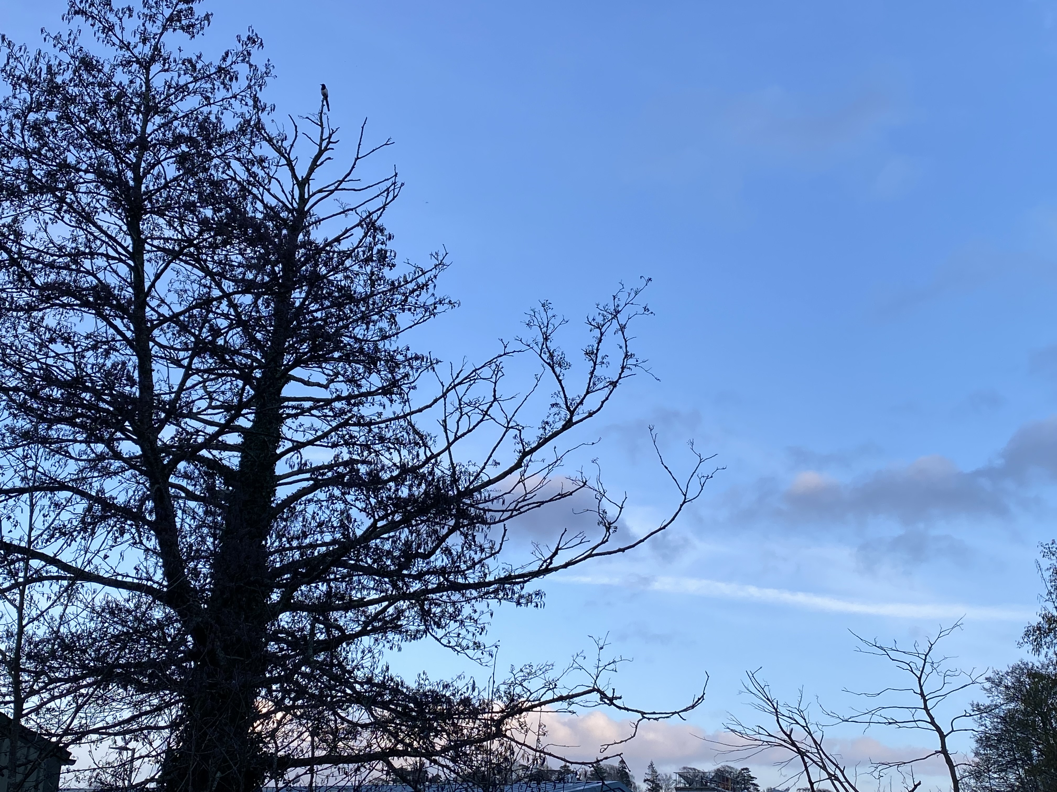 Morning meditation — But mere talking on food will not appease hunger ...