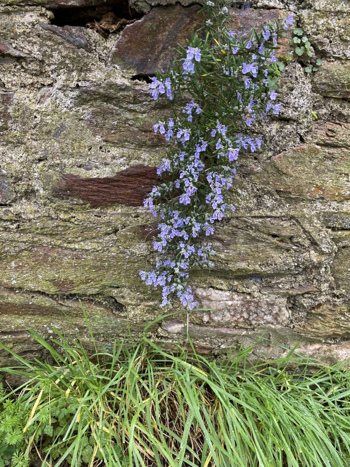 Hanging about on the wall