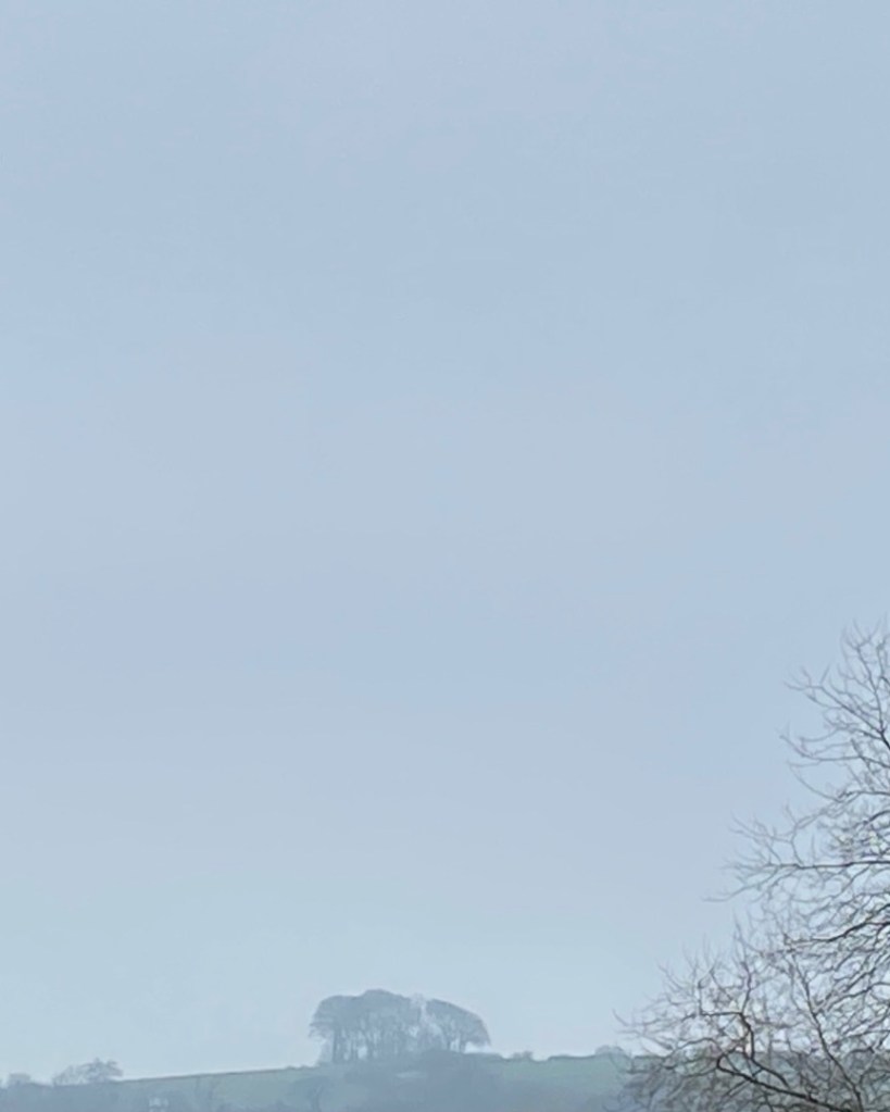 Trees on the hill on a misty morning.