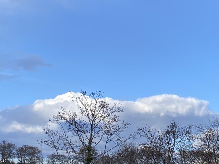 Sky, clouds, and trees.