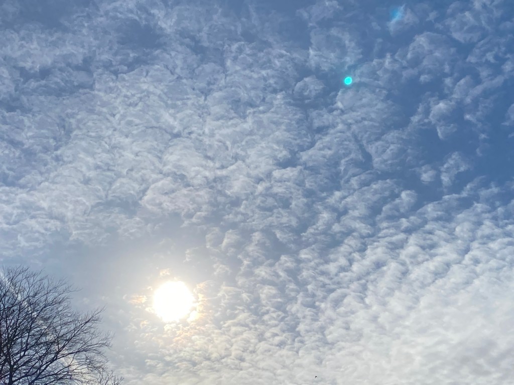 Powderpuff clouds over Totnes.
