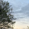 Morning sky.