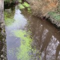 Totnes Leat.