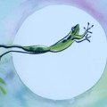 Frog jumping into the pond.