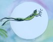 Frog jumping into the pond.