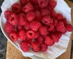 Raspberries.
