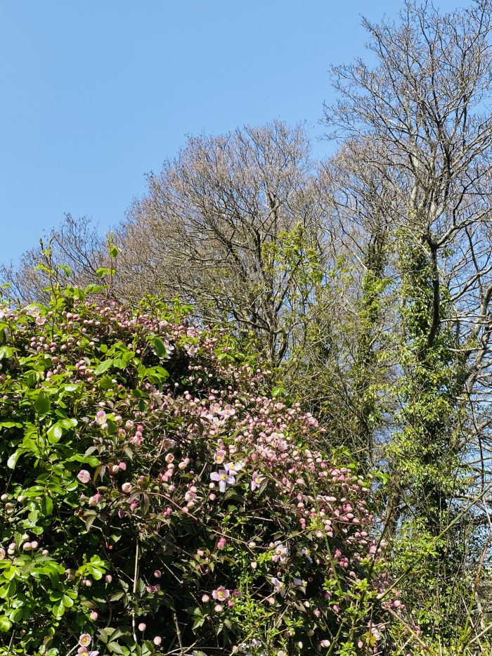 Morning meditation — The more we turn our attention inward. – Buddhism now