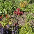 A nice garden of a Totnes church. Morning Meditation: Teachings can be most profound, but those who listen may not understand. Just do the practice wholeheartedly and you can arrive at real understanding; it will bring you to the same place the teachings are talking about. Ajahn Chah