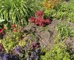 A nice garden of a Totnes church. Morning Meditation: Teachings can be most profound, but those who listen may not understand. Just do the practice wholeheartedly and you can arrive at real understanding; it will bring you to the same place the teachings are talking about. Ajahn Chah