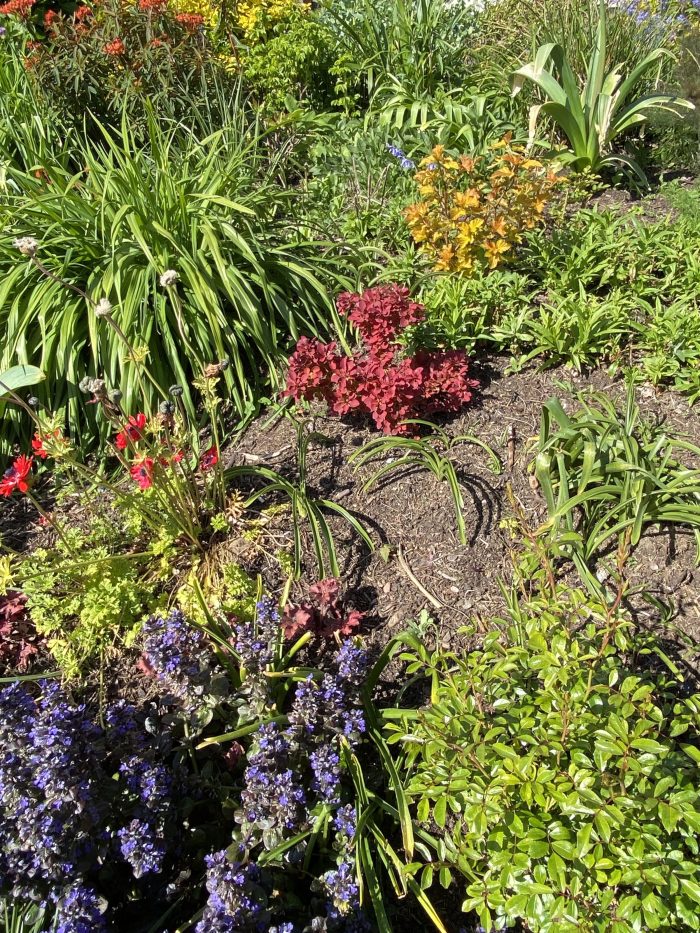 A nice garden of a Totnes church. Morning Meditation: Teachings can be most profound, but those who listen may not understand. Just do the practice wholeheartedly and you can arrive at real understanding; it will bring you to the same place the teachings are talking about. Ajahn Chah