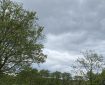 Trees and a grey sky. Morning Meditation: Sometimes, something drives us forward to effect change; something pulls against the outer appearance of our world and implies further dimension, something unknown, mysterious. John Aske