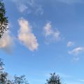 Clouds floating above the trees. Morning Meditation: The path to awakening Is impossible to map. It is lofty but has no ‘above’; Impossible to reach its limit. Jingjue