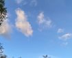 Clouds floating above the trees. Morning Meditation: The path to awakening Is impossible to map. It is lofty but has no ‘above’; Impossible to reach its limit. Jingjue