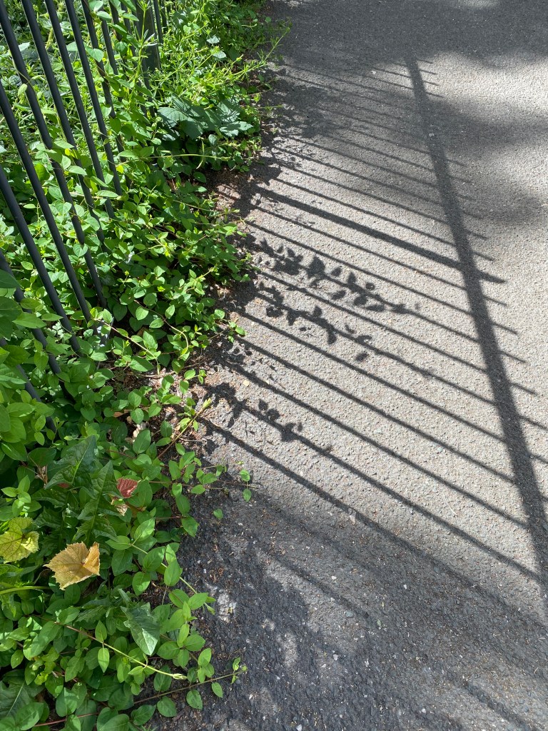 Railings and shadows.
