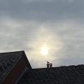 Seagull enjoying the sunset over Totnes. Morning Meditation: Beware of random judgements. I say it clearly as it is — to understand or not to understand, both are mistaken. Rinzai