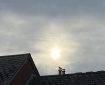 Seagull enjoying the sunset over Totnes. Morning Meditation: Beware of random judgements. I say it clearly as it is — to understand or not to understand, both are mistaken. Rinzai