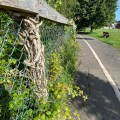 Totnes path. Morning Meditation: There is nothing more unskilful than hatred. Shantideva