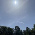 Sun over the trees in Morrisons car park, Totnes. Morning Meditation: The Buddha taught that looking after the precepts isn’t hard if you look after yourself. Ajahn Chah