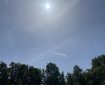 Sun over the trees in Morrisons car park, Totnes. Morning Meditation: The Buddha taught that looking after the precepts isn’t hard if you look after yourself. Ajahn Chah