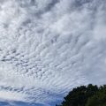 Altocumulus undulatus Clouds over Totnes. Morning Meditation: Sunyatā: The born — the temporal — and the unborn — the timeless the truth of enlightenment — of the Buddha's own discourses. [Lucid Exposition of the Middle Way]