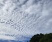 Altocumulus undulatus Clouds over Totnes. Morning Meditation: Sunyatā: The born — the temporal — and the unborn — the timeless the truth of enlightenment — of the Buddha's own discourses. [Lucid Exposition of the Middle Way]