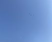 Three birds flying over Morrisons, Totnes. Morning Meditation: Try not to set up stages for Awakening. Meditate without waiting.