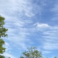 Big sky over Totnes. Morning Meditation: Full of firewood, full of water, heart completely stilled. Chan Master Fenyang