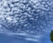 Big sky with small puffy clouds. Morning Meditation: Its source is neither from heaven nor from earth; its heroism does not depend upon the changing seasons. Then from where does it arise? Chan Master Fenyang