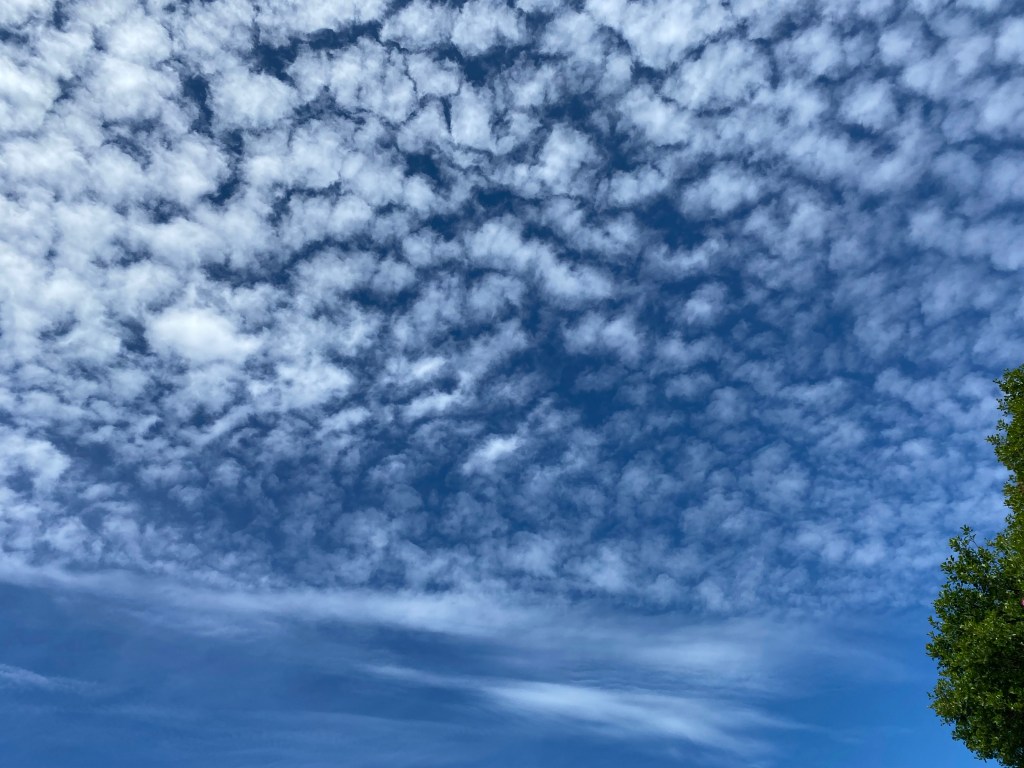 Big sky with small puffy clouds.