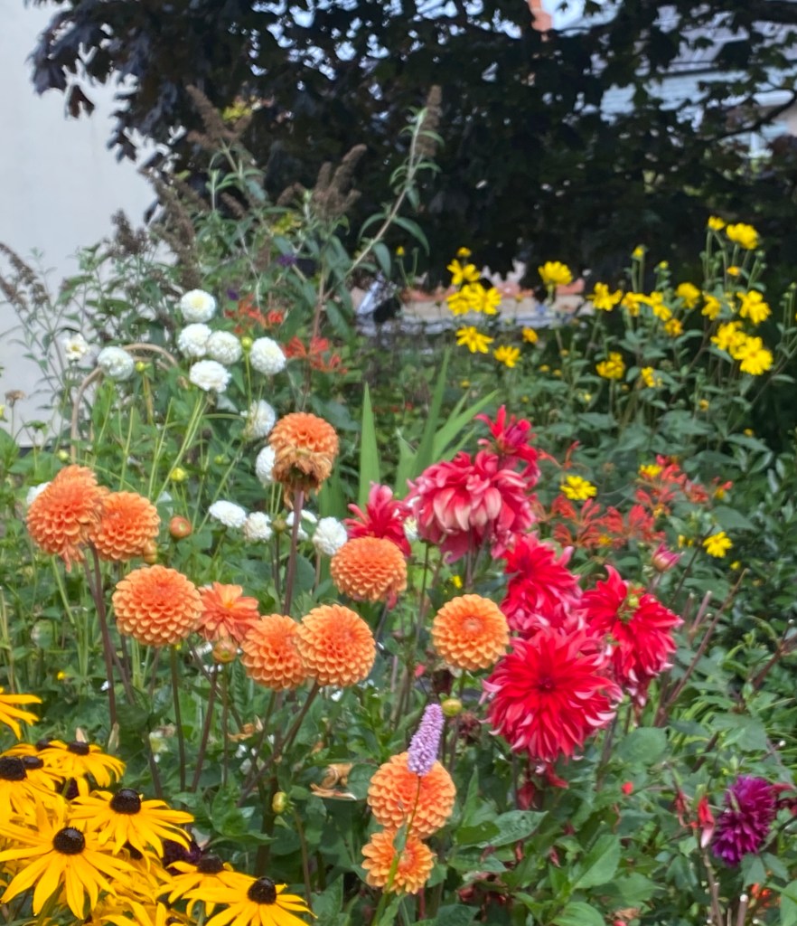 Summer flower bed.