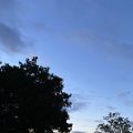 Seagulls flying in an evening sky. Morning Meditation: Only one familiar with the observation of mind can really understand Dhamma. Buddhadasa Bhikkhu