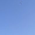 Moon in a clear sky. Morning Meditation: To be unaware is to suffer. Not knowing the nature of things, not seeing reality as it truly is (yathābhūta), binds us to a world of illusion.