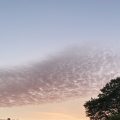 Some soft clouds floating over Totnes. Morning Meditation: Wherever the eye falls, Thusness. Sengcan Hsin Hsin Ming