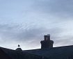 Evening sky with a seagull and Jupiter. Morning Meditation: Occupied by the turmoil of many worthless activities, I’ve been an idiot taking trivial things to be Dharma. [Taking the Result as the Path]