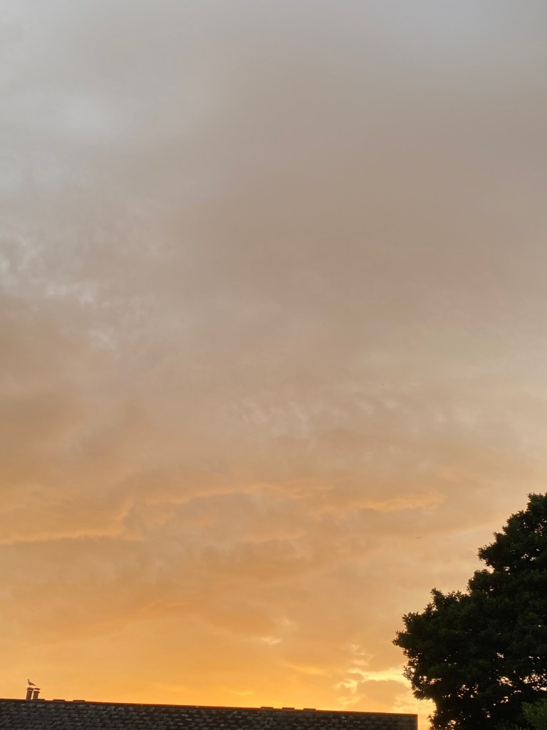 Evening sky over Totnes.