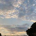 Big evening sky with Seagull perched on the chimney pot. Morning Meditation: The midnight moon shines brightly; the sun must yield greeting to the dawn. The Real within the Apparent From a single hair a mighty tree grows; a drop of water swells into a river. Fenyang Shanzhao Song of Right and Wrong