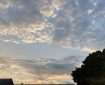 Big evening sky with Seagull perched on the chimney pot. Morning Meditation: The midnight moon shines brightly; the sun must yield greeting to the dawn. The Real within the Apparent From a single hair a mighty tree grows; a drop of water swells into a river. Fenyang Shanzhao Song of Right and Wrong