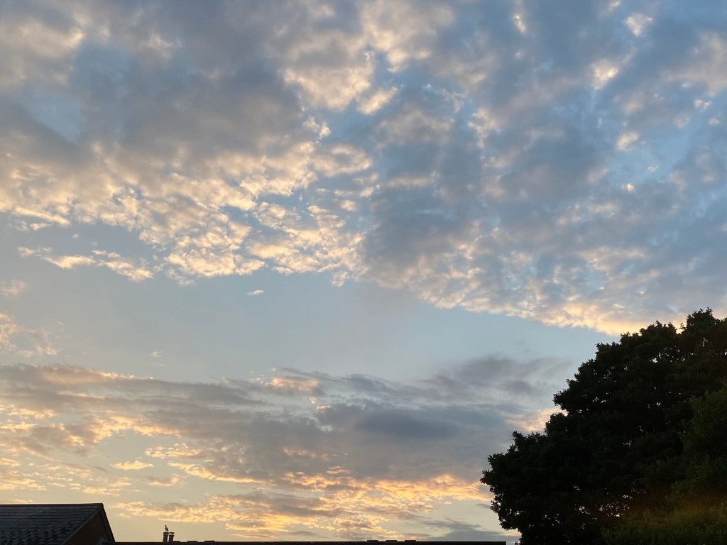 Big evening sky with Seagull perched on the chimney pot.