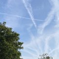 Clouds criss-cross in the sky over Totnes. Morning Meditation: Simultaneous Awareness of Both The jade-green lady throws her shuttle upon the whirling loom; the stone man beats his drum: Boom! Boom! Chan Master Fenyang